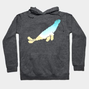 Modern Pixel Sea Seal Hoodie